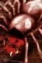 Nonton film Hunter x Hunter Season 1 Episode 58 terbaru di Dutamovie21 Nonton film Hunter x Hunter Season 1 Episode 58 terbaru di Dutamovie21