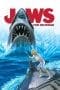 Nonton film Jaws: The Revenge (1987) terbaru di Dutamovie21 Nonton film Jaws: The Revenge (1987) terbaru di Dutamovie21