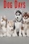 Nonton film Dog Days (2016) terbaru di Dutamovie21