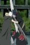 Nonton film Naruto Shippūden Season 6 Episode 134 terbaru di Dutamovie21 Nonton film Naruto Shippūden Season 6 Episode 134 terbaru di Dutamovie21