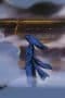 Nonton film Yu Yu Hakusho Season 2 Episode 22 terbaru di Dutamovie21 Nonton film Yu Yu Hakusho Season 2 Episode 22 terbaru di Dutamovie21