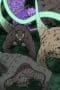 Nonton film Naruto Shippūden Season 18 Episode 387 terbaru di Dutamovie21 Nonton film Naruto Shippūden Season 18 Episode 387 terbaru di Dutamovie21