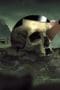 Nonton film Love, Death & Robots Season 1 Episode 17 terbaru di Dutamovie21 Nonton film Love, Death & Robots Season 1 Episode 17 terbaru di Dutamovie21