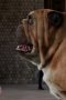 Nonton film Marvel’s Inhumans Season 1 Episode 1 terbaru di Dutamovie21 Nonton film Marvel’s Inhumans Season 1 Episode 1 terbaru di Dutamovie21