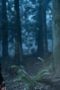 Nonton film Fire Country Season 1 Episode 11 terbaru di Dutamovie21 Nonton film Fire Country Season 1 Episode 11 terbaru di Dutamovie21