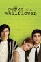 Nonton film The Perks of Being a Wallflower (2012) terbaru di Dutamovie21 Nonton film The Perks of Being a Wallflower (2012) terbaru di Dutamovie21