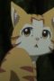 Nonton film Beheneko: The Elf-Girl’s Cat Is Secretly an S-Ranked Monster! Season 1 Episode 4 terbaru di Dutamovie21 Nonton film Beheneko: The Elf-Girl’s Cat Is Secretly an S-Ranked Monster! Season 1 Episode 4 terbaru di Dutamovie21